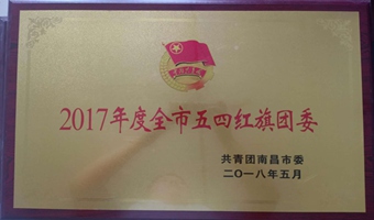 2017年度全市五四紅旗團委