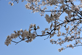 1616987107130459.png image.png