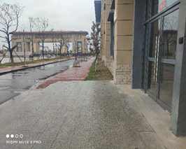 1648771241165715.png image.png