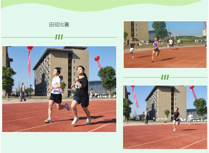 1732503887571462.png 1732503820392.png