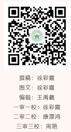 1764513757937189.png image.png